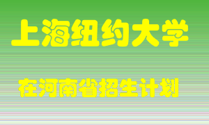 上海纽约大学2022年在河南招生计划录取人数