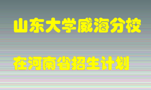 山东大学威海分校2022年在河南招生计划录取人数