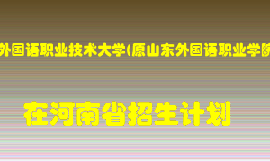 山东外国语职业技术大学(原山东外国语职业学院)2022年在河南招生计划录取人数