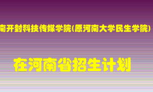 河南开封科技传媒学院(原河南大学民生学院)2022年在河南招生计划录取人数
