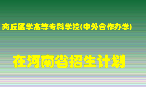 商丘医学高等专科学校(中外合作办学)2022年在河南招生计划录取人数