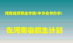 河南经贸职业学院(中外合作办学)2022年在河南招生计划录取人数