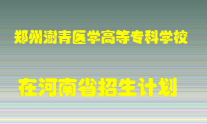 郑州澍青医学高等专科学校2022年在河南招生计划录取人数