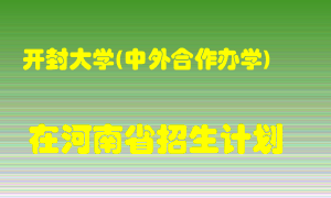 开封大学(中外合作办学)2022年在河南招生计划录取人数