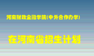 河南财政金融学院(中外合作办学)2022年在河南招生计划录取人数