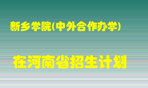 新乡学院(中外合作办学)2022年在河南招生计划录取人数