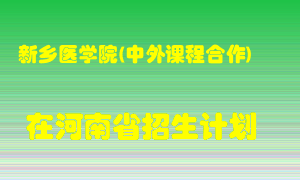 新乡医学院(中外课程合作)2022年在河南招生计划录取人数