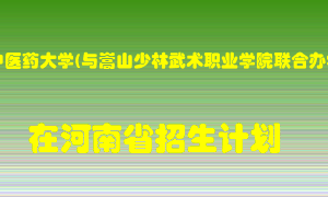 河南中医药大学(与嵩山少林武术职业学院联合办学）2022年在河南招生计划录取人数