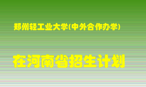 郑州轻工业大学(中外合作办学)2022年在河南招生计划录取人数