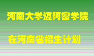 河南大学迈阿密学院2022年在河南招生计划录取人数