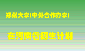 郑州大学(中外合作办学)2022年在河南招生计划录取人数