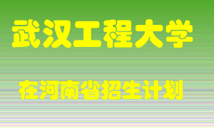 武汉工程大学2022年在河南招生计划录取人数