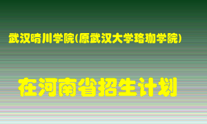 武汉晴川学院(原武汉大学珞珈学院)2022年在河南招生计划录取人数