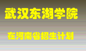 武汉东湖学院2022年在河南招生计划录取人数