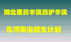 湖北医药学院药护学院2022年在河南招生计划录取人数