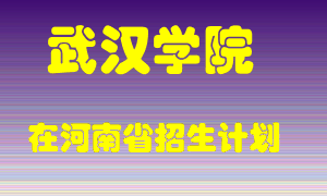 武汉学院2022年在河南招生计划录取人数