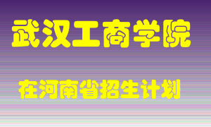 武汉工商学院2022年在河南招生计划录取人数