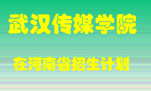 武汉传媒学院2022年在河南招生计划录取人数