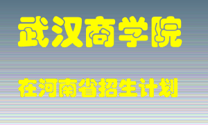 武汉商学院2022年在河南招生计划录取人数