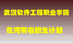 武汉软件工程职业学院2022年在河南招生计划录取人数