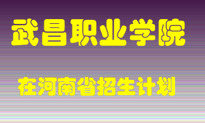 武昌职业学院2022年在河南招生计划录取人数