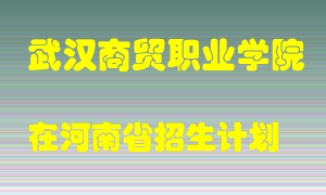 武汉商贸职业学院2022年在河南招生计划录取人数