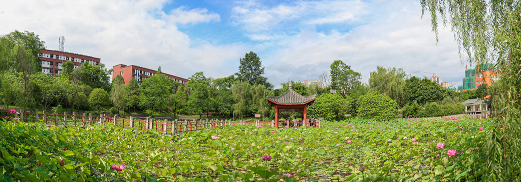 四川文理学院师资力量