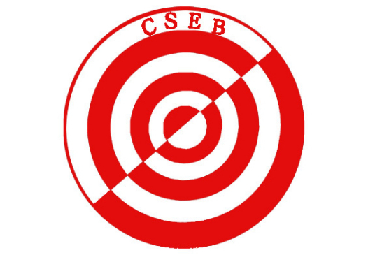 中国爆破行业协会主要业绩（一）