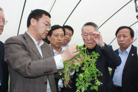 任继周草地研究草原综合顺序分类法