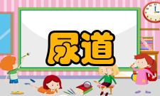 尿道狭窄临床表现1)排尿困难