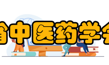 广东省中医药学会学会荣誉