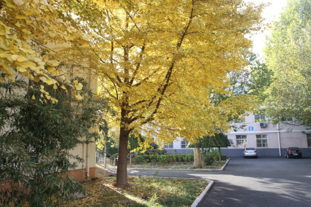 北京京北职业技术学院办学历史