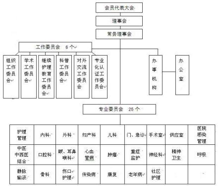 北京护理学会建会初期