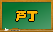 芦丁计算化学数据