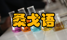 桑戈语语言使用中非