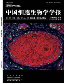 中国细胞生物学学会报刊资源