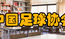 中国足球协会成年女子赛事