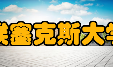 埃塞克斯大学部分本科专业