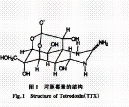 海洋生物毒素河鲀毒素