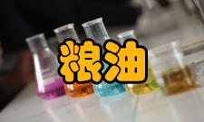 放心粮油工程概况