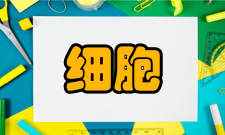 细胞破碎植物