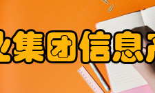 信息产业集团信息产业集团的结构模式选择