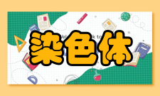 染色体工程操作植物