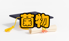 菌物学报栏目方向