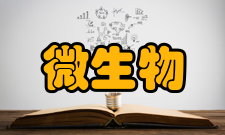 微生物工程应用发酵工程以其生产条件温和