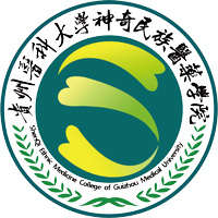 2023贵州医科大学神奇民族医药学院医学影像技术专业是几本