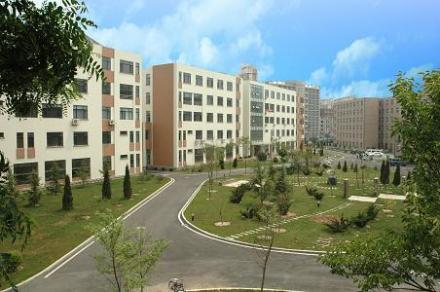 大连海事大学法学院院系设置