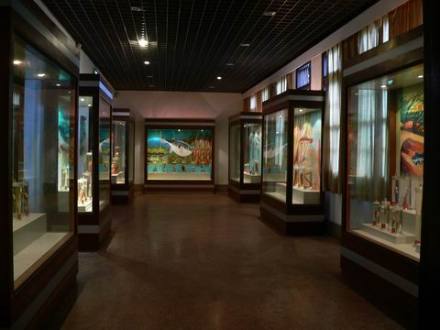 重庆自然博物馆脊椎动物陈列