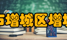 “十三五”期间教师荣誉（部分）