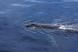 生物圈人与自然